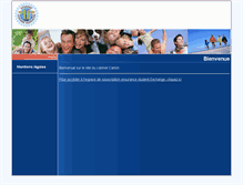 Tablet Screenshot of cabinetcarton.com